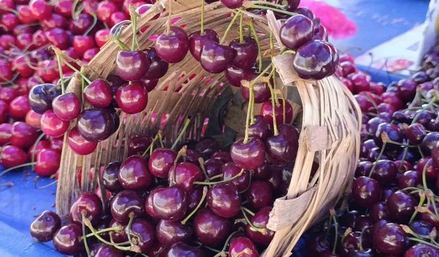 Tekirdağ'da kiraz fiyatları düşüşe geçti: 250 TL'den 150-100 TL bandına geriledi