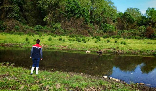 Tekirdağ'da su ürünleri denetimleri