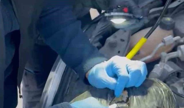 Tunceli'de uyuşturucu operasyonu: 2 şüpheli tutuklandı