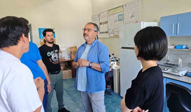 Türkiye ve Japonya'dan kene tehdidine karşı ortak mücadele
