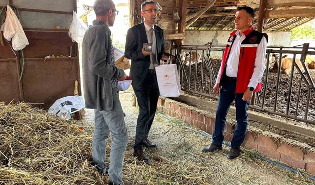 Uşak Tarım ve Orman Müdürlüğü ekipleri sahada incelemelerde bulundu