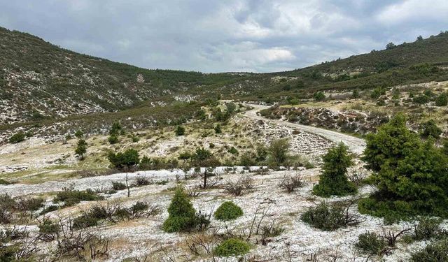 Uşak'ın yüksek kesimlerinde dolu yağışı etkili oldu