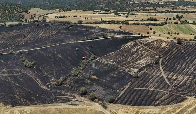Uşak'ta çıkan yangında 300 dekar ekili alan zarar gördü