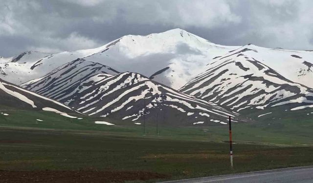 Van'daki karlı dağlar 'Zebra' desenine büründü