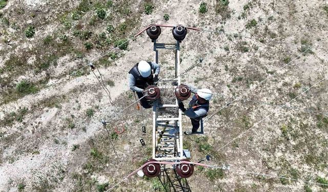 VEDAŞ'tan şebeke güvenliği için bakım-onarım çalışmaları devam ediyor
