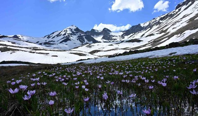 Yaz ortasında kışın hüküm sürdüğü eşsiz coğrafya: Artabel