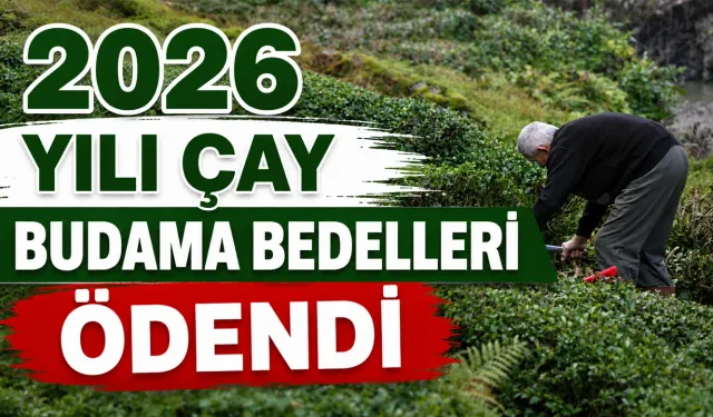Çay budama bedelleri hesaplara yattı
