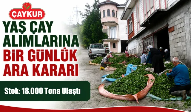 ÇAYKUR'dan Yaş Çay Alımlarına Bir Günlük Ara Kararı