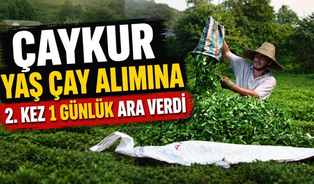 ÇAYKUR yaş çay alımına 2. kez 1 günlük ara verdi