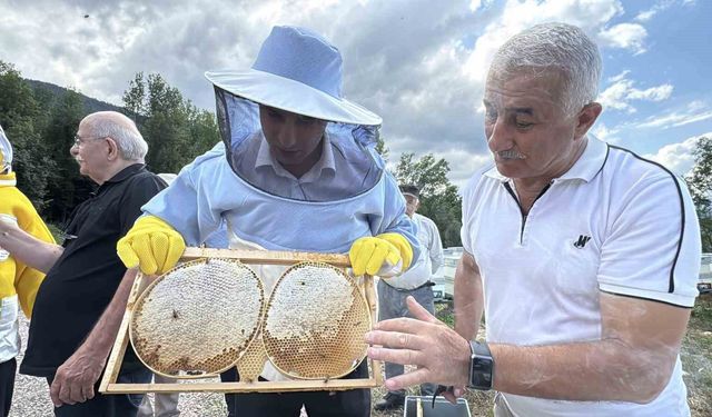AB tescilli Yenice ıhlamur balında hasat başladı