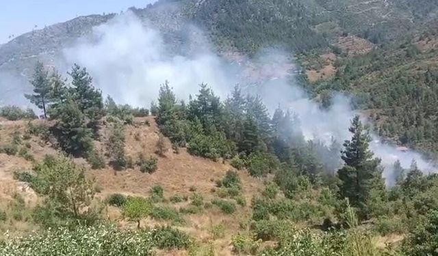Adana'da orman yangını