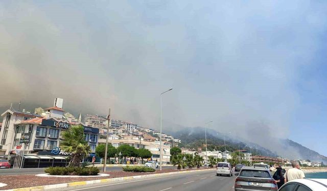Altınoluk'taki orman yangınıyla ilgili Balıkesir Valisinden açıklama