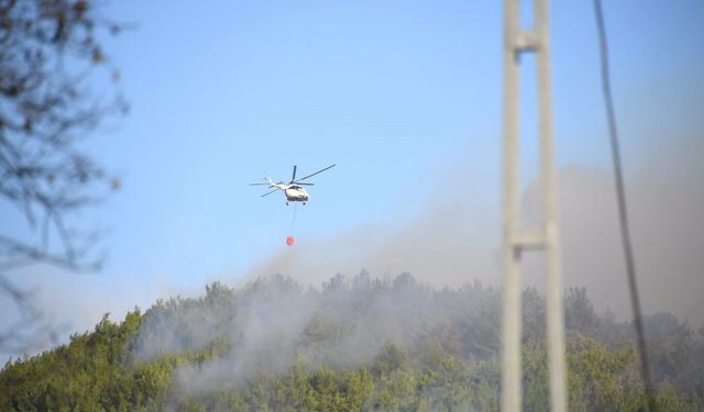 Altınoluk'taki yangın kontrol altına alındı, Gömeç yangınına müdahale sürüyor