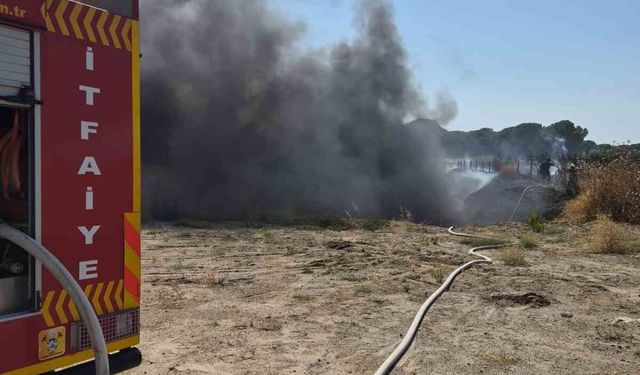 Altınova girişinde çıkan ot ve orman yangını kontrol altına alındı