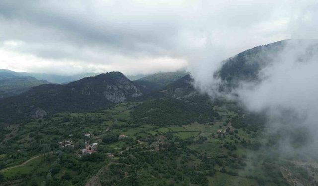 Amasya'da ormanlık alanlara girişler yasaklandı