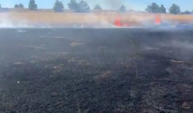 Anız yangınında 10 dönüm alan zarar gördü