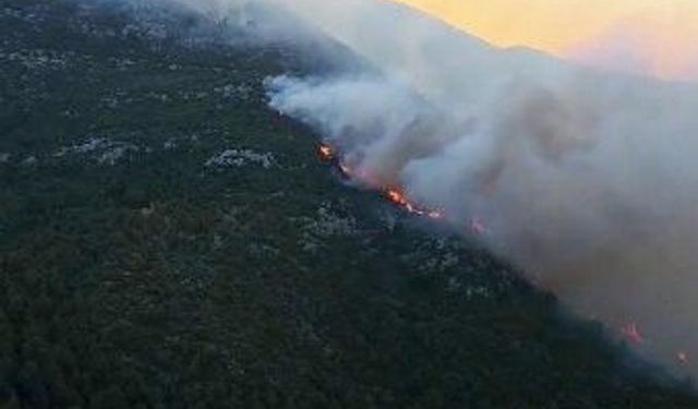 Antalya Kaş'ta orman yangını