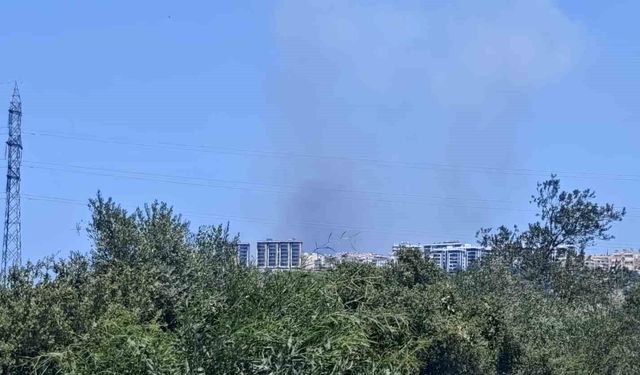 Antalya'da ormanlık alanda yangın