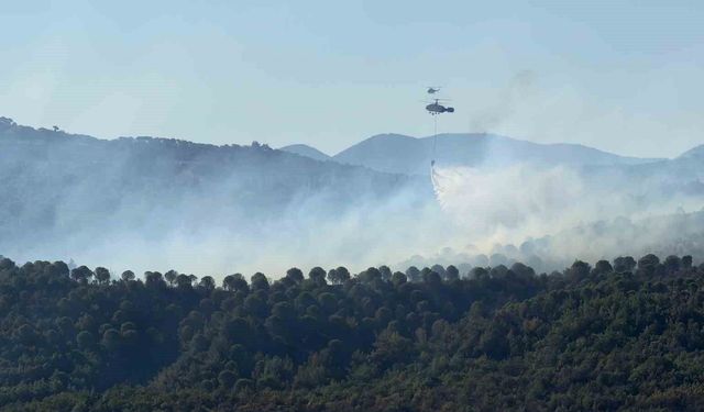 Balıkesir Gömeç yangını 3. gününde.