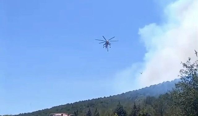 Balıkesir'de bir orman yangını daha