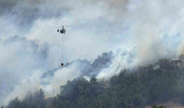 Balıkesir'de tek yangın cephesi: Gömeç