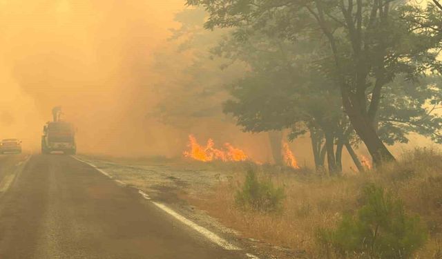 Balıkesir'deki yangın Bergama sınırına ulaştı, gazeteciler alevler arasından zor kurtuldu
