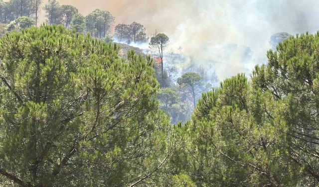 Balıkesir'deki yangın tekrar yayılıyor