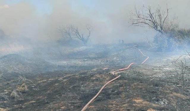 Bandırma'da arazi yangını kısa sürede söndürüldü