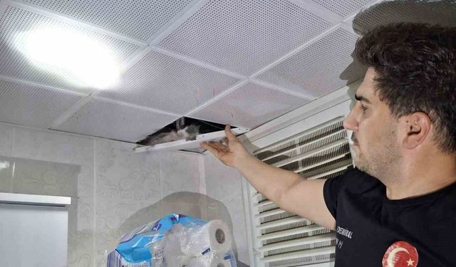 Batman'da asma tavanda sıkışan güvercinler itfaiye tarafından kurtarıldı
