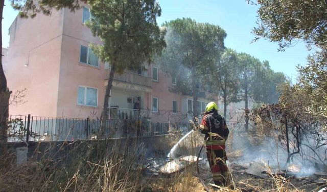 Burhaniye'de zeytinliğe sıçrayan ot yangını polis merkezinde korkuya neden oldu