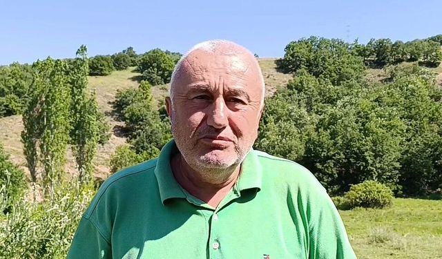 Çayır mantarını toplaması zahmetli yemesi lezzetli