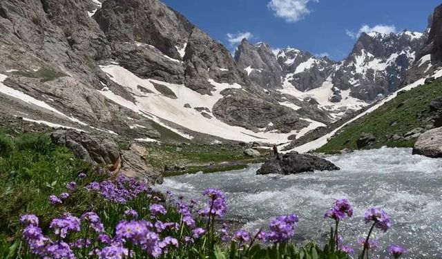 Cilo Dağları'nda kısmi serbestlik başladı