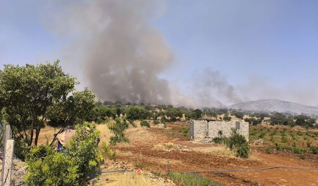 Diyarbakır'da örtü yangını