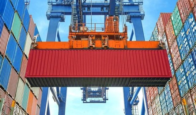 Düzce'den 4 bin 135 ton orman ürünü ihraç edildi