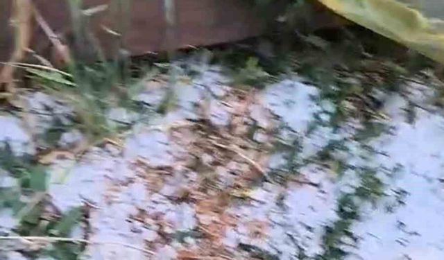 Edirne'de dolu yağışı etkili oldu