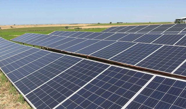 Edirne'de üreticiler tarlasını dronla ilaçlıyor, güneş enerjisiyle suluyor