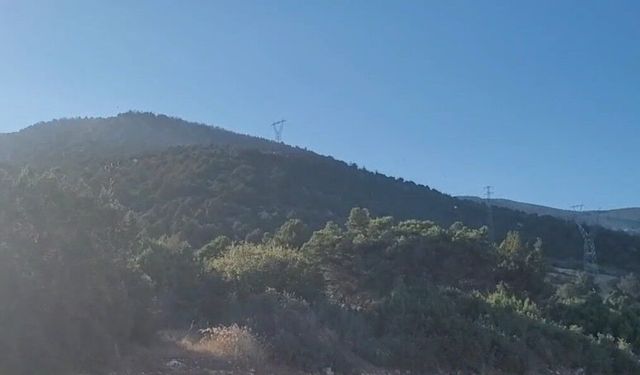 Eğirdir'deki orman yangını kontrol altına alındı: 10 hektar alan zarar gördü