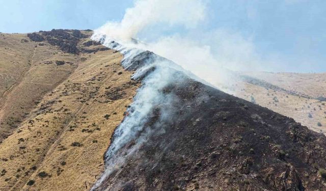 Elazığ'da dağlık alanda çıkan yangında 1 şüpheli gözaltına alındı