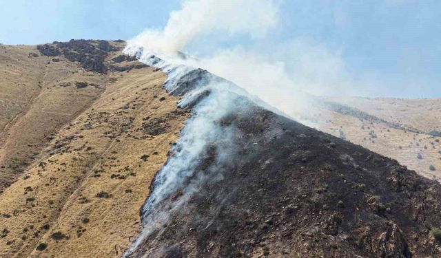 Elazığ'da dağlık alanda yangına sebep olan şüpheli tutuklandı