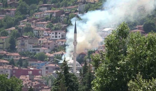 Elmas nineyi yangından itfaiyeciler kurtardı