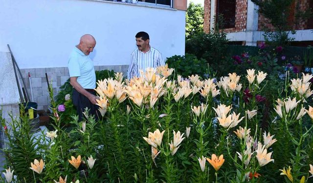 Emekliliğini renk renk çiçek bahçesine dönüştürdü