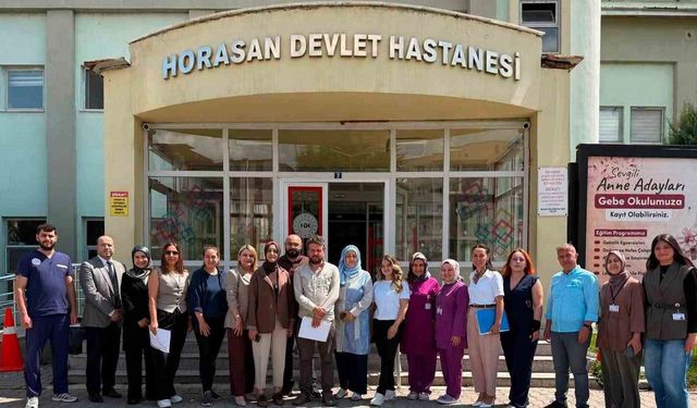 Erzurum'da iki ilçe hastanesi daha 'Anne Dostu' oldu
