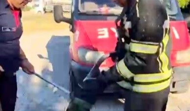 Evin bahçesine giren yılan itfaiye ekiplerini peşinden koşturdu