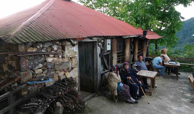 Giresun'da yayla yolundaki 70 yıllık kahvehane zamana direniyor