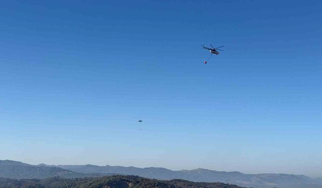 Gömeç, Ayvalık ve Bergama'da binlerce hektar ağacı kül eden yangın kontrol altına alındı