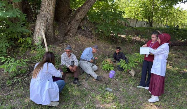 Hakkari'de kanser taraması
