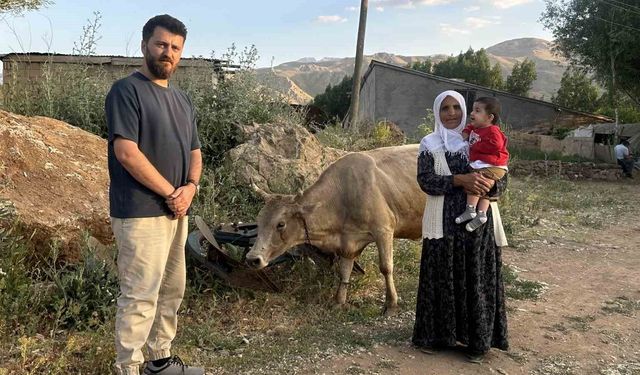 İhlas Haber Ajansı'nın haberi Ayni teyzenin yüzünü güldürdü: İnekler kendisine ulaştı