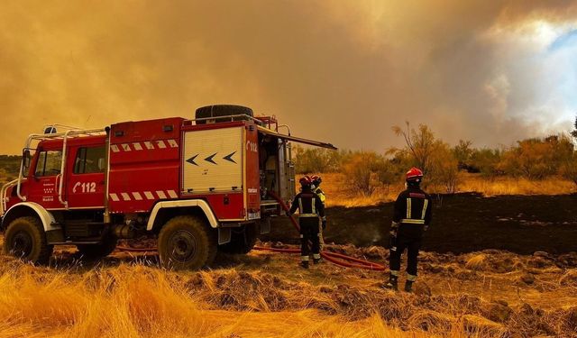İspanya'daki orman yangınlarında 25 bin hektarlık alan kül oldu
