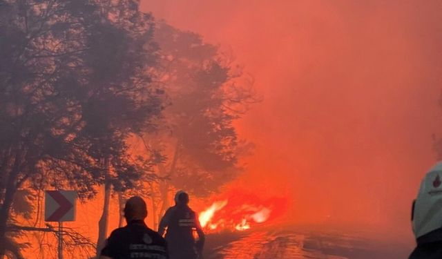 İtfaiye ekipleri alevlerle burun buruna geldi