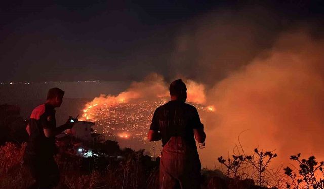 İzmir'in kuzeyinde orman yangını alarmı
